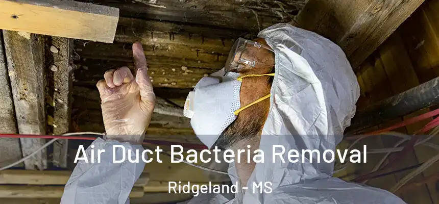  Air Duct Bacteria Removal Ridgeland - MS