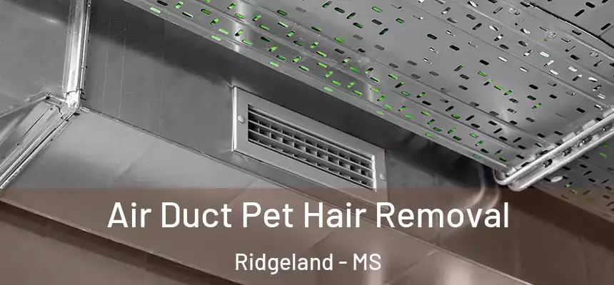  Air Duct Pet Hair Removal Ridgeland - MS