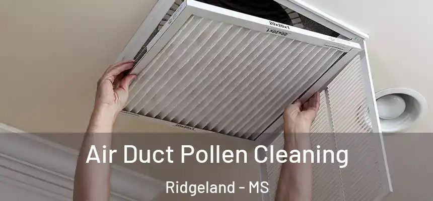 Air Duct Pollen Cleaning Ridgeland - MS