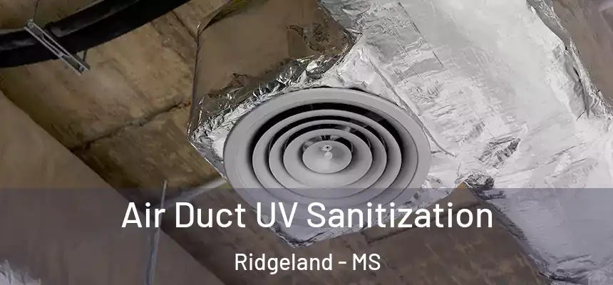 Air Duct UV Sanitization Ridgeland - MS