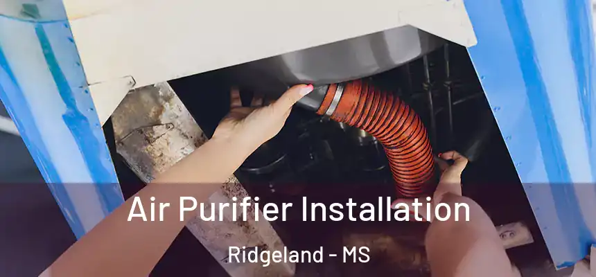  Air Purifier Installation Ridgeland - MS