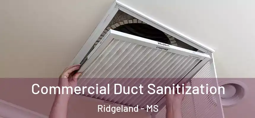 Commercial Duct Sanitization Ridgeland - MS