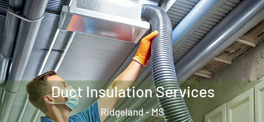  Duct Insulation Services Ridgeland - MS