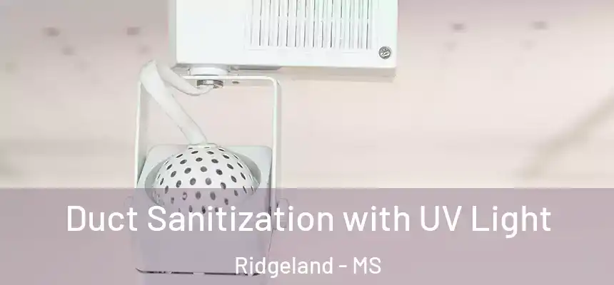 Duct Sanitization with UV Light Ridgeland - MS