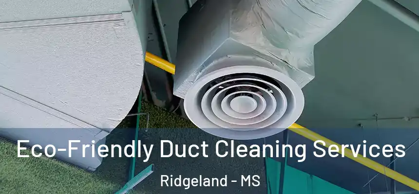  Eco-Friendly Duct Cleaning Services Ridgeland - MS