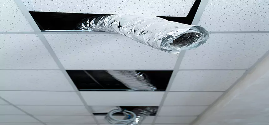 Affordable HVAC Sanitizing After Pest Removal in Ridgeland