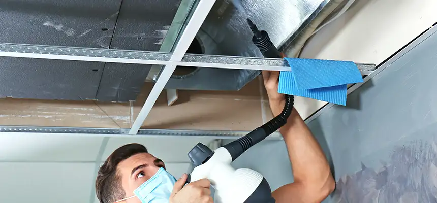 Our Air Duct Rodent Removal Services in Ridgeland, MS