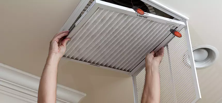 Our Insect Removal from Air Ducts Services in Ridgeland, MS