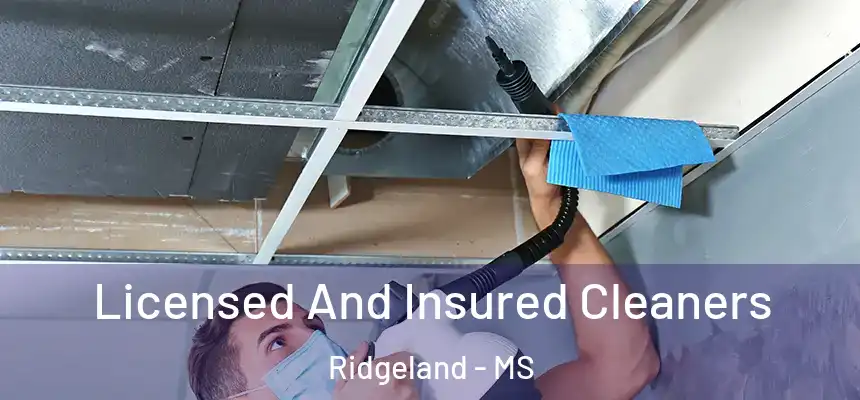 Licensed And Insured Cleaners Ridgeland - MS
