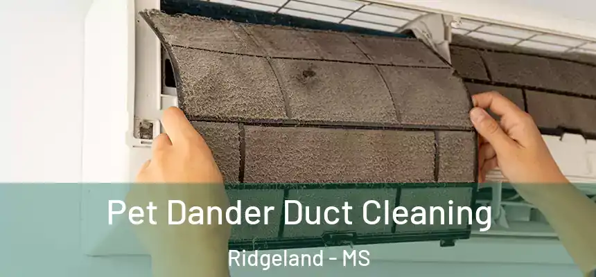  Pet Dander Duct Cleaning Ridgeland - MS