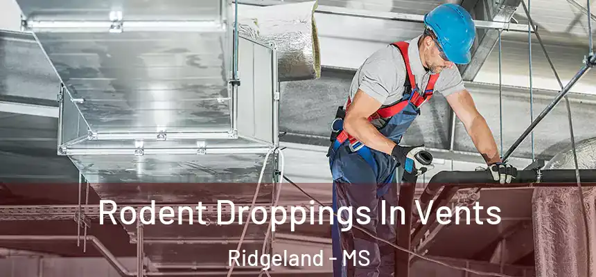 Rodent Droppings In Vents Ridgeland - MS