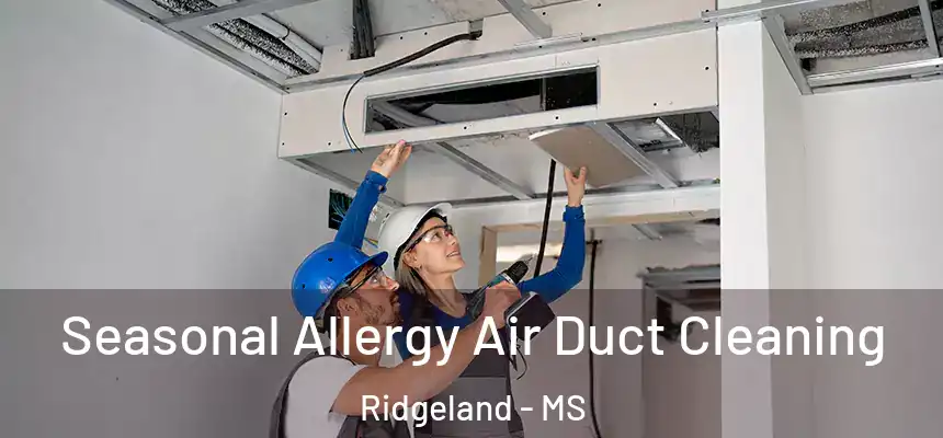  Seasonal Allergy Air Duct Cleaning Ridgeland - MS
