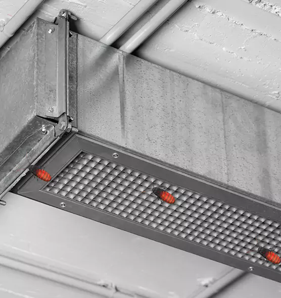 About Air Duct Cockroach Removal in Ridgeland, MS