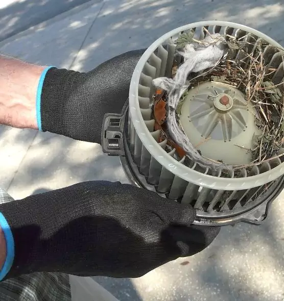 About Air Duct Mice Removal in Ridgeland, MS