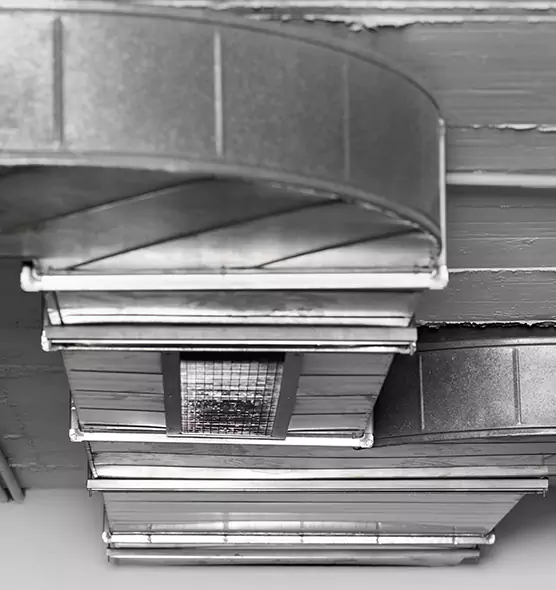 Professional Air Duct Pest Removal in Ridgeland, MS