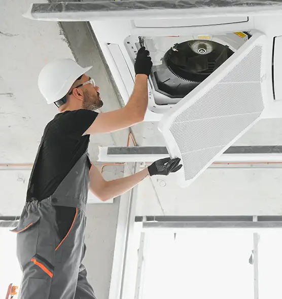 About Air Duct Rodent Removal in Ridgeland, MS