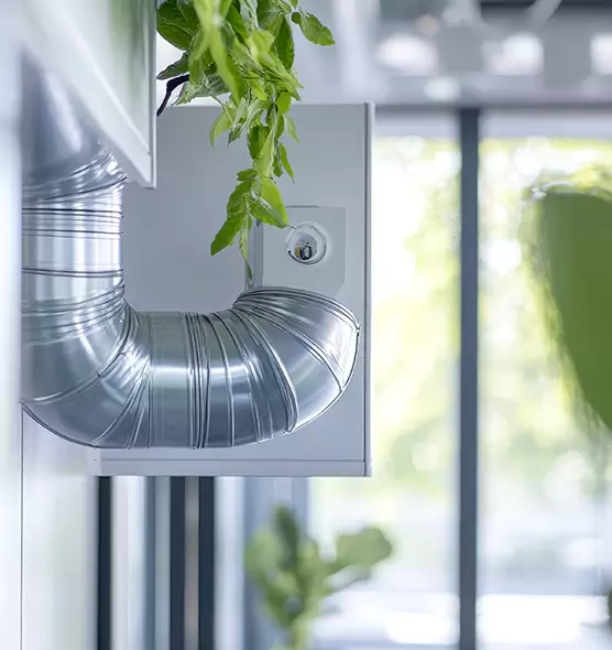 Professional Eco-Safe Dryer Vent Cleaning in Ridgeland, MS