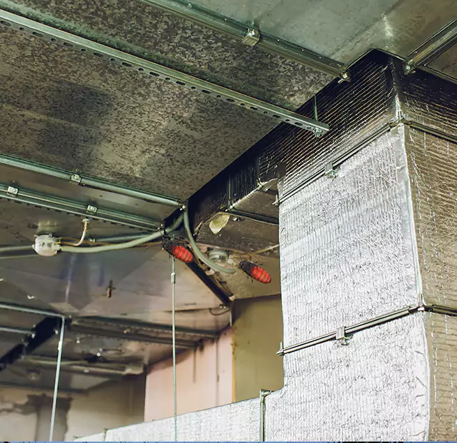 Why Homeowners & Businesses Trust Us in Ridgeland, MS?