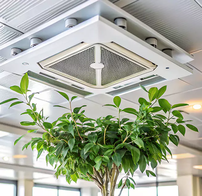 Why Homeowners & Businesses Trust Us in Ridgeland, MS?