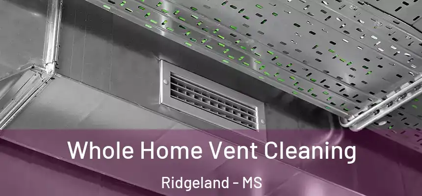  Whole Home Vent Cleaning Ridgeland - MS